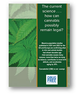 cannabis legal