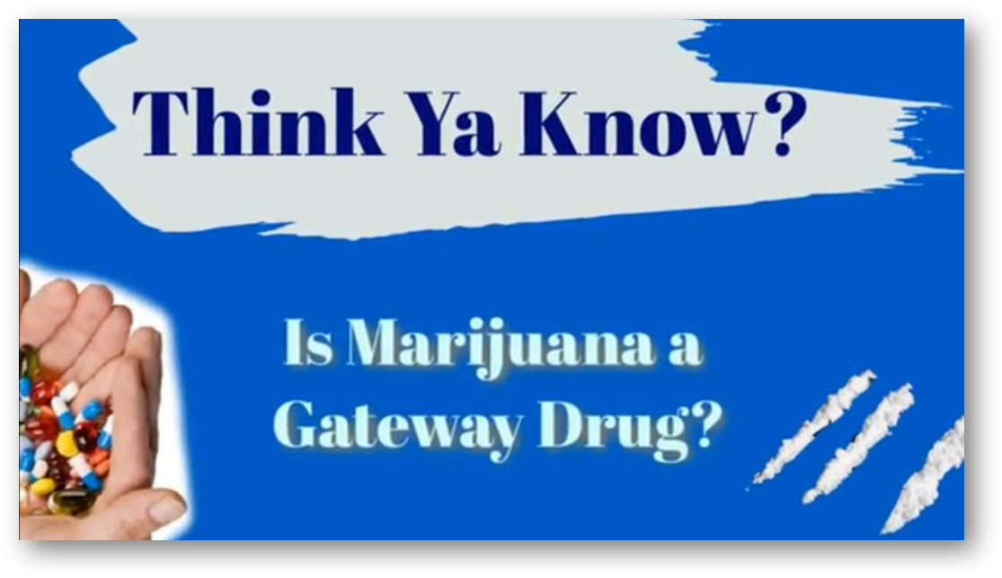 ThinkYaKnowMarijuanaGateway