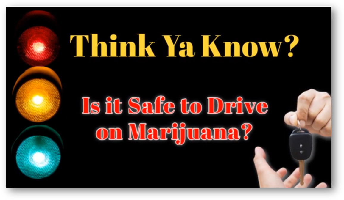 ThinkYaKnowSafeDriveonWeed