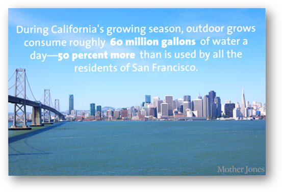 OutgrowWaterUseSanfranciso