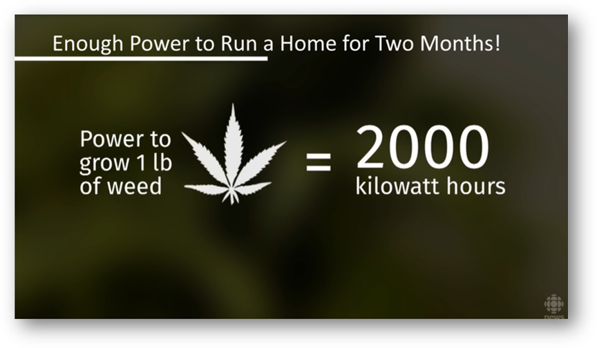 1lbofWeed2000Kwh