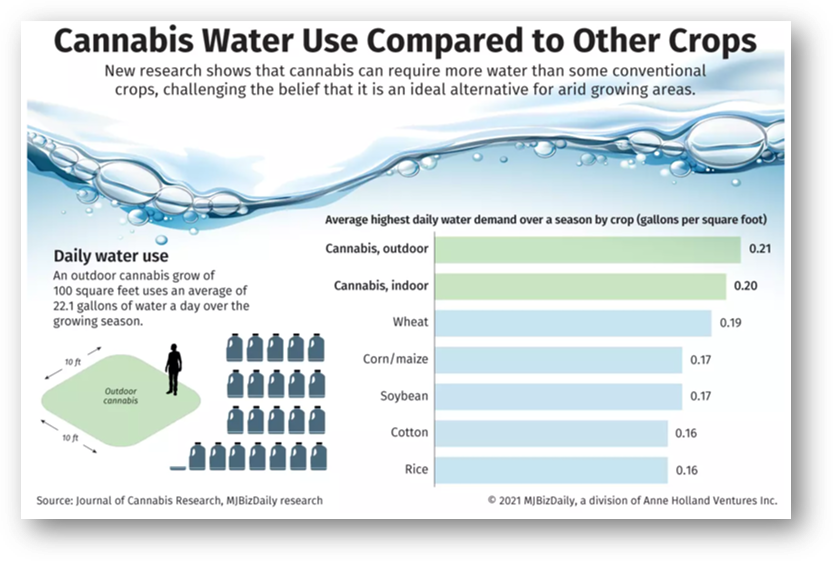 CannabisWaterUsage