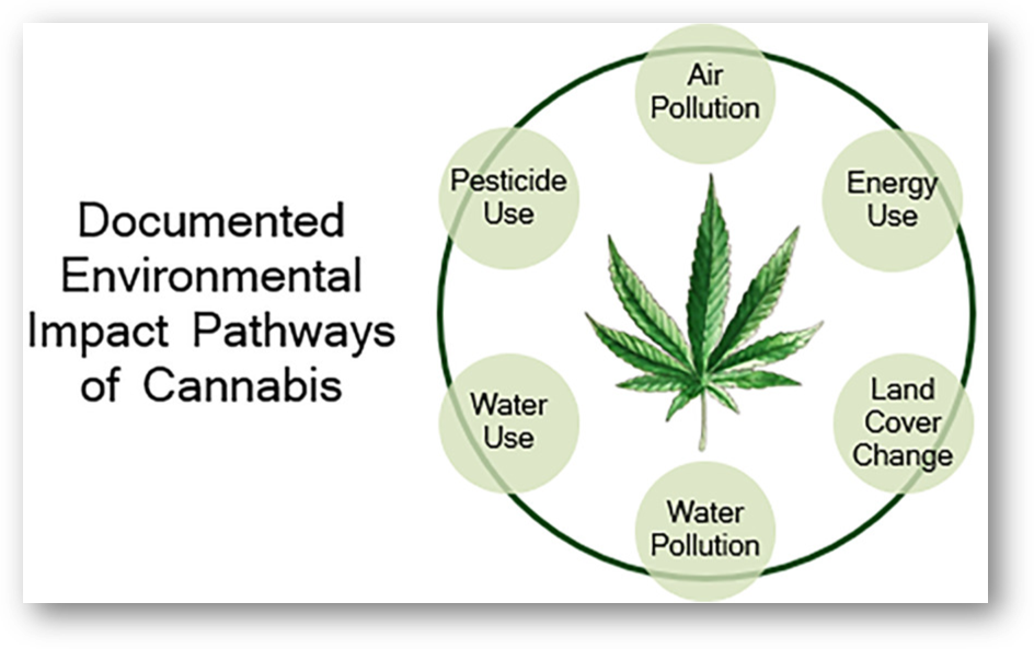 EnvironmentalImpactWEED