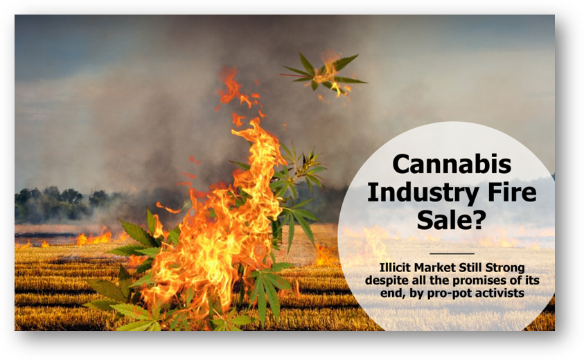 CannabisInsdustryFlames