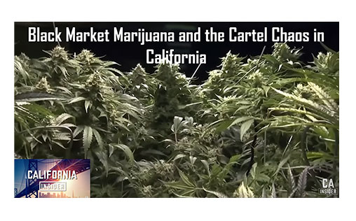 blackmarket