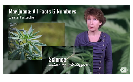 allfacts