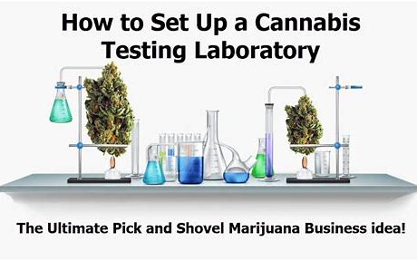 HowtoSetUpCannabisLab