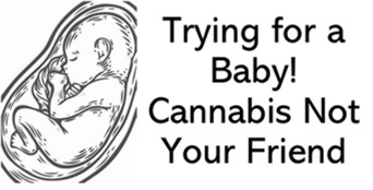 Trying.forBabyCannabisjpg