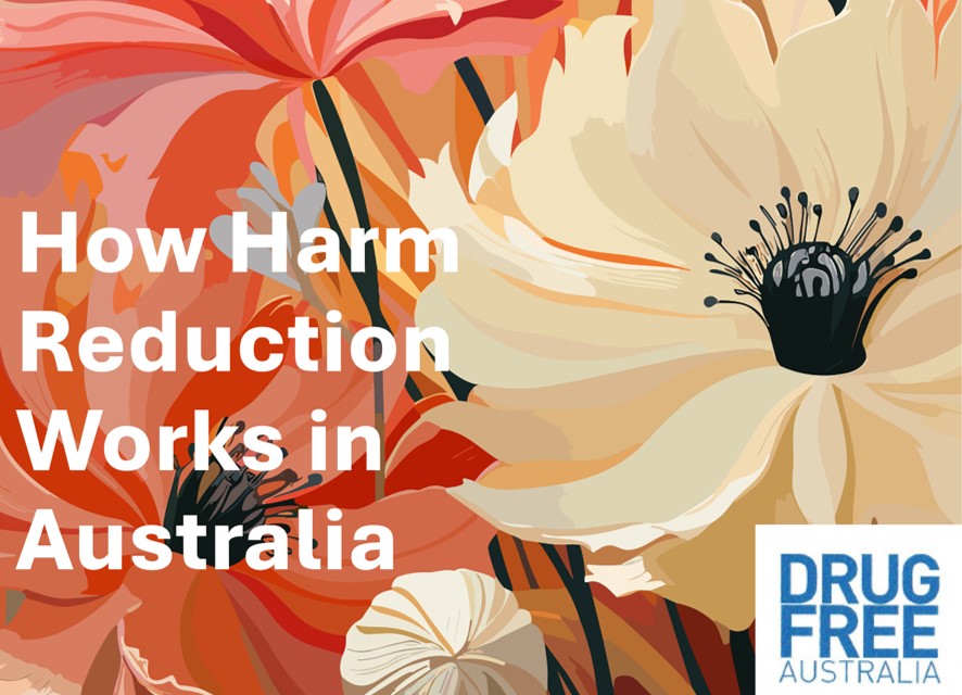 HowHarmReductionWorks