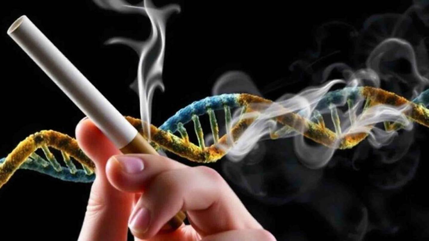 dna