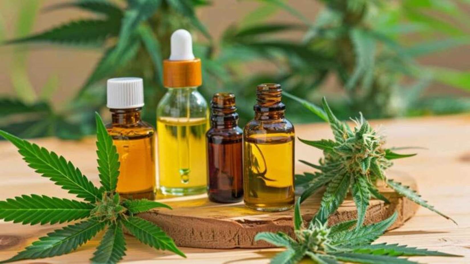 oils