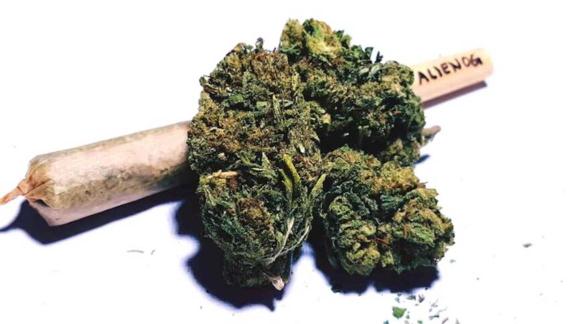 potbud