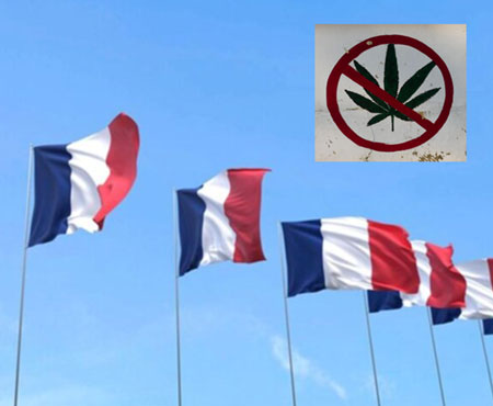 potflags